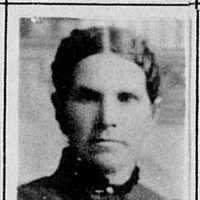 Ann Taylor (1846 - 1901) Profile